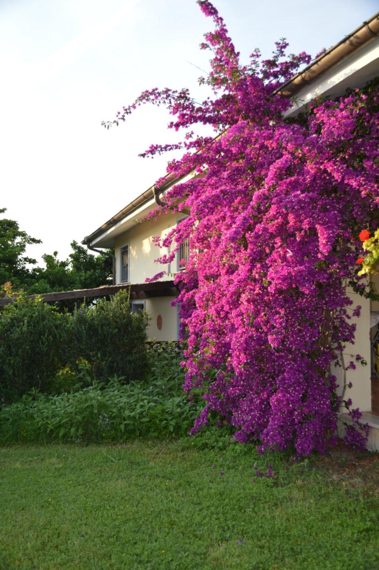 Villa Collebelvedere - Near Rome With Home Restaurant Fara in Sabina Екстер'єр фото